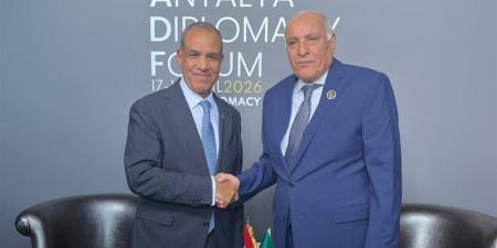 وزيرا خارجية مصر والجزائر: الأوضاع في ليبيا تمثل أولوية مشتركة للبلدين