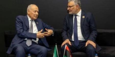 أبو الغيط يبحث مع رئيس المجلس الأعلى الليبي دفع التسوية السياسية