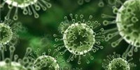 اختراق علمي جديد قد يوقف فيروسا يصيب 95% من البشر