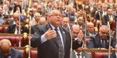 النائب ناجي الشهابي لـ تحيا مصر: قرار منع السفر للممتنعين عن سداد النفقة نقلة نوعية لضمان تنفيذ الأحكام وحماية الأسرة المصرية