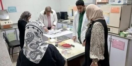 تقديم الدعم النفسي لـ 2044 مواطنًا بمحافظة دمياط