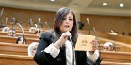 النائبة إليزابيث شاكر لـ برلمان تحيا مصر: قرار منع المتهربين من النفقة عن السفر عادل ويهدف ااحفاظ على الأسرة