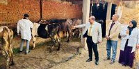 محافظ الدقهلية: تحصين 176 ألف رأس ماشية ضمن الحملة القومية لمكافحة الجلد العقدي وجدري الأغنام