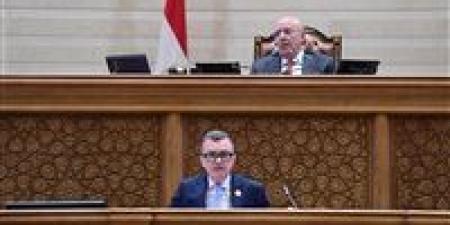 وزير التخطيط من البرلمان: تحسين جودة حياة المواطن أولوية أساسية في خطة التنمية الاقتصادية الجديدة