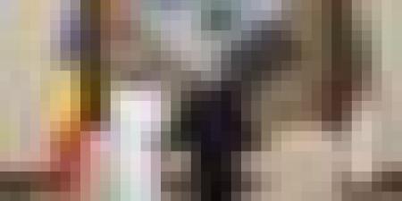 رئيس الجمهورية: ما تحقق اليوم بين الجزائر وتشاد يشكل خطوة هامة نحو بناء شراكة استراتيجية متكاملة