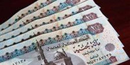 أمين أصحاب المعاشات يكشف لغز تدني المعاشات القديمة