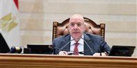 البرلمان يحيل بيان وزير التخطيط لمجلس الشيوخ