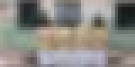 إحباط محاولات إدخال أزيد من 5 قناطير من المخدرات عبر المغرب