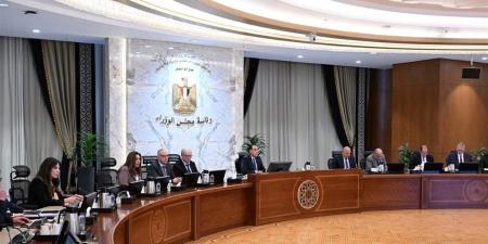 ​مدبولي يوجه بتوفير إمدادات الطاقة للقطاعات الإنتاجية لتعزيز النمو الاقتصادي وتوطين الصناعة