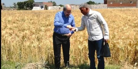 من إحدى مزارع دندرة.. محافظ قنا يطلق إشارة بدء موسم حصاد القمح