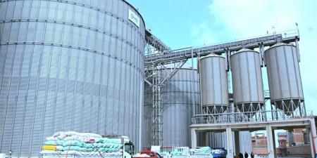 من الحقول إلى الصوامع.. توريد 3884 طن قمح بالبحيرة