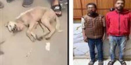 خوفا من مرضه.. القبض على شقيقين تعديا على كلب حتى نفوقه بالشرقية
