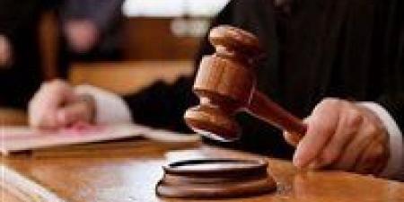 ثورة تشريعية لحماية الأطفال من الجرائم الرقمية..مشروع قانون جديد يضرب الاستغلال الجنسي الإلكتروني بقبضة حاسمة