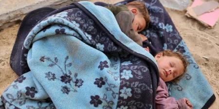 الصحة العالمية: تسجيل أكثر من 17 ألف إصابة بين النازحين مرتبطة بالقوارض