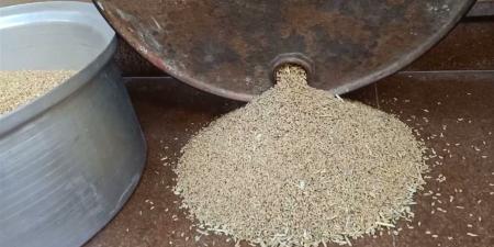 سعر الأرز الشعير اليوم الأحد 26 أبريل 2026 في الأسواق المحلية