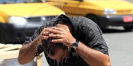 تحذير زراعي بسبب الطقس اليوم.. رياح وأتربة تضرب هذه المناطق