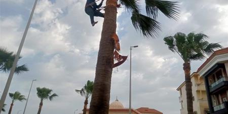 دمياط تطلق الطفطف الكهربائي لتطوير منظومة النقل السياحي برأس البر