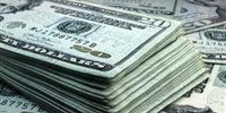 سقوط مافيا الدولار.. ضبط 8 ملايين جنيه عملات أجنبية في ضربات أمنية متزامنة