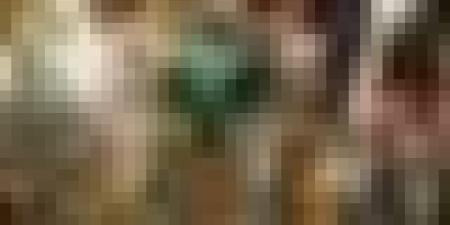 رياض محرز.. أينما حلّ زرع المجد وحصد الألقاب