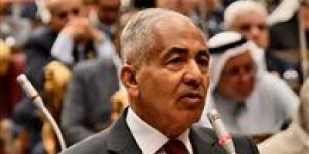 وكيل مجلس الشيوخ يطالب بحد أدنى لأصحاب المعاشات أسوة بالأجور