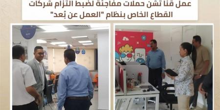حملات تفتيش لمتابعة تطبيق «العمل عن بُعد» بالقطاع الخاص في قنــا
