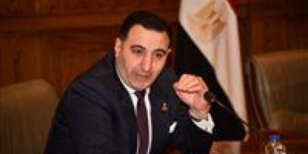 رئيس برلمانية المؤتمر بالشيوخ يطالب بتطوير المنظومة التأمينية لتحقيق الحماية الاجتماعية والاستدامة المالية