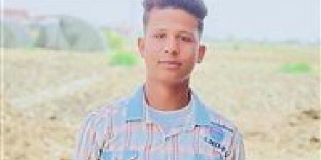 إحالة أوراق المتهم بقتل صديقه في الشرقية إلى مفتي الديار المصرية