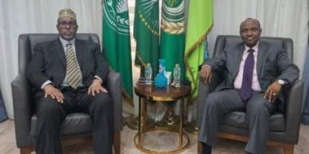 سفير الصومال لدى مصر يبحث مع نظيره الجيبوتي سبل تعزيز الشراكة