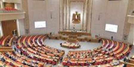 «تضامن النواب» تبحث غدا عدد من القضايا الحيوية المرتبطة بملف الأسرة