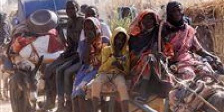 السودان يحظر استيراد سلع واسعة لوقف تراجع قيمة الجنيه