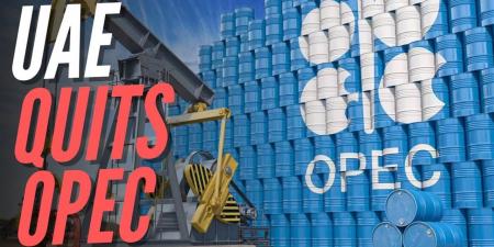 خبير طاقة إماراتي يكشف لـ "الدستور" أسباب انسحابها من منظمة أوبك