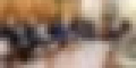 محادثات جزائرية بولندية لتعزيز الشراكة في المحروقات ومشاريع طموحة في البتروكيمياء والطاقة