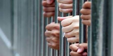 ضبط تشكيل عصابي بحوزته مخدرات بـ 116 مليون جنيه قبل ترويجها