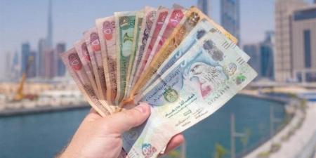 سعر الدرهم الإماراتي مقابل الجنيه المصري اليوم
