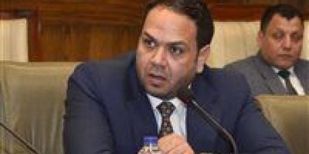 صناعة الشيوخ: حزمة الحوافز الحكومية لدعم المشروعات المتعثرة تعزز تنافسية المنتج المصري إقليميًا ودوليًا