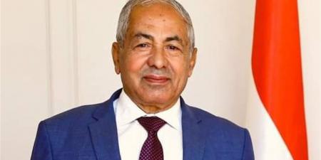 العوضي: الرئيس السيسي ينتصر لعمال مصر بقرارات تاريخية تعزز الحماية الاجتماعية وتدعم التنمية