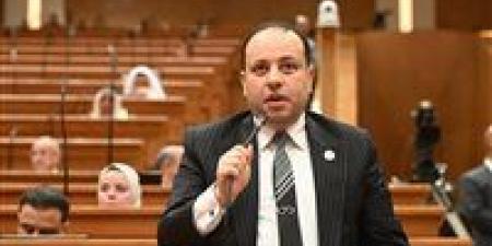 النائب وليد خطاب: توجيهات الرئيس السيسي بتنفيذ استراتيجية التشغيل تعزز فرص العمل