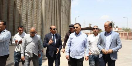 توريد 13 ألفًا و671 طنًا و948 كيلو من محصول القمح في القليوبية