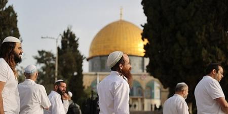محافظة القدس: ما يجري في الأقصى تصعيد خطير من قبل المستعمرين المتطرفين