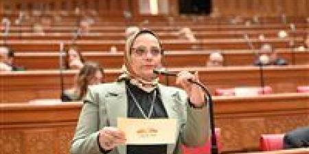 نجلاء العسيلي: قرارات السيسي في عيد العمال توسّع الحماية الاجتماعية