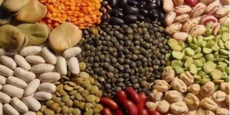 أسعار الحبوب والزيوت في الوادي الجديد اليوم الأحد 3 مايو 2026