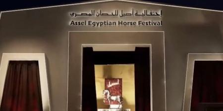 انطلاق النسخة الثانية من بطولة "أصيل" لجمال الخيول العربية المصرية