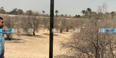 جهاز سفنكس الجديدة يستعيد 72.58 فدان غرب الطريق الصحراوي