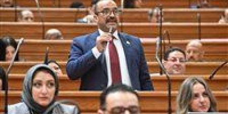 النائب نادي عبد الرسول: تعديل قانون المعاشات يؤكد اهتمام القيادة السياسية بملف الحماية الاجتماعية