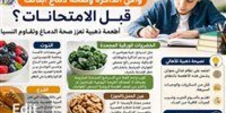 "إزاي تدعّم تركيز أولادك قبل الامتحانات؟.. أطعمة ذهبية تعزز صحة الدماغ وتقاوم النسيان