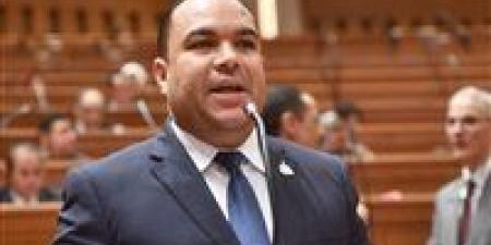 تحذيرات برلمانية رغم الموافقة.. النائب أحمد عصام ينتقد تصاعد الدين العام وضعف الاستثمار في الحساب الختامي