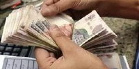عطل مؤقت أم تحول جذري؟.. كواليس أزمة سيستم التأمينات وموعد عودة الخدمة لطبيعتها