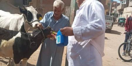 بيطري الغربية ينجح في علاج 1193 حيوانًا وطائرًا بقرية شرشابة