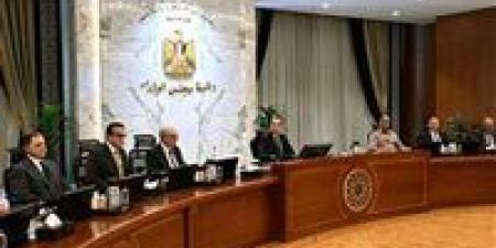 خبير إدارة أعمال لـ تحيا مصر: اشتراط الطاقة المتجددة بالمصانع الجديدة يعيد تشكيل الصناعة مستقبل