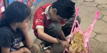 الرحمة في قلوبهم.. أطفال يضعون قطة صغيرة داخل عجلة الرُضع (فيديو)